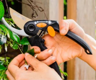 Весенний сезон